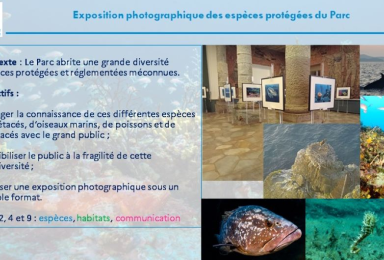 Extrait programme actions 2023 : Exposition photographiques