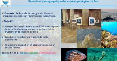 Extrait programme actions 2023 : Exposition photographiques