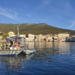 Opération prélèvement corps morts et macro-déchets marins-Mise en place dispositif